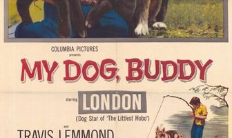 My Dog Buddy