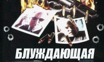 Блуждающая пуля