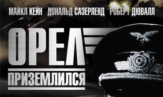 Орел приземлился