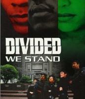 Divided We Stand