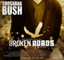 Разбитые дороги