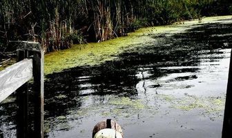 Пятница 13-е: Возвращение Джейсона