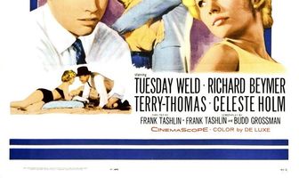 Квартира холостяка