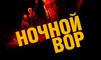 Ночной вор