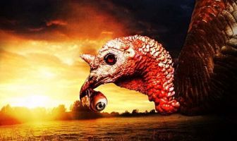Amityville Turkey Day