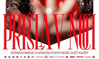 Prisla v noci