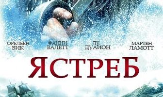 Ястреб
