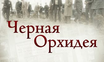 Черная орхидея