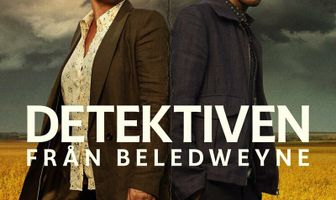 Детектив из Беледуэйне
