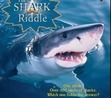 The Shark Riddle