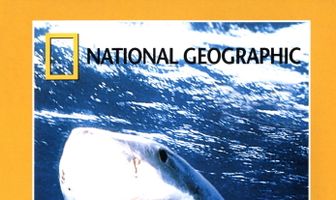 НГО: Акула-людоед. Правда в тени легенд