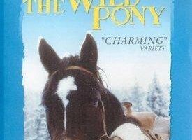 The Wild Pony