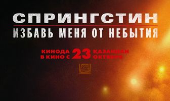 Спрингстин. Избавь меня от небытия