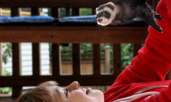 Джейк и Джаспер: Сказка про хорька