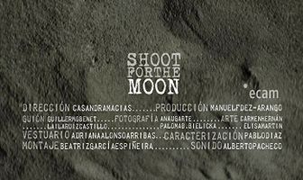 Лунная миссия