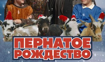 Пернатое Рождество