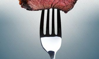 In Search of the Perfect Human Diet