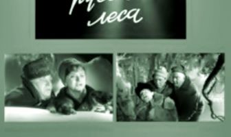 Сказки русского леса