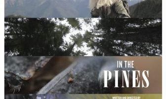 In the Pines