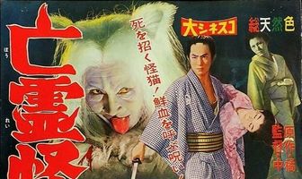 Дом с кошкой-призраком