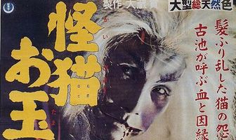 Кошка-призрак пруда Отама