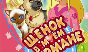 Щенок в моем кармане