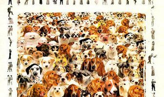 Раскалённая крыша