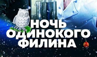Ночь одинокого филина