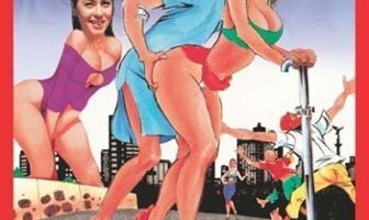 El matrimonio es como el manicomio