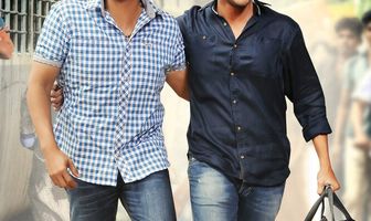 Ветка жасмина у дома Ситы