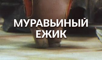 Муравьиный ёжик