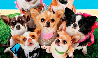 Крошка из Беверли-Хиллз 3