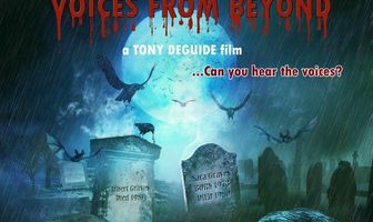 Голоса извне