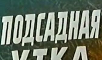 Подсадная утка