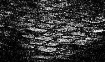 Der letzte Regen