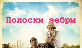 Полоски зебры