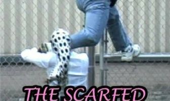 The Scarfed Assassin