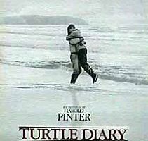 Дневник Черепахи