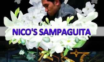 Nico's Sampaguita