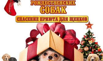 12 рождественских собак: Спасение приюта для щенков