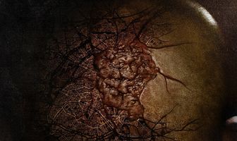 Пораженный