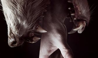 Хемлок Гроув