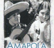 Amapola del camino
