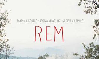 Фаза быстрого сна