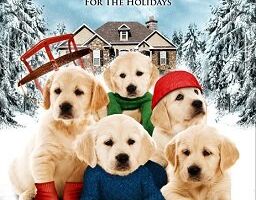 Золотая зима