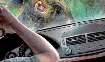 Летучие обезьяны