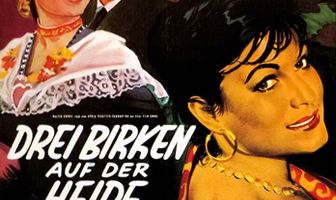 Drei Birken auf der Heide
