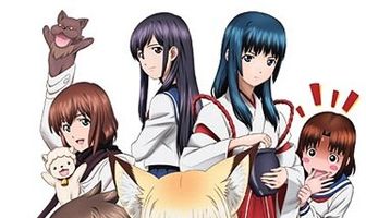 Инари в нашем доме