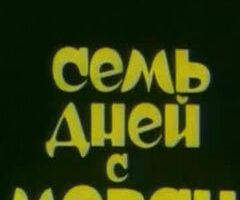Семь дней с Морси