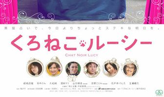 Люси — черная кошка